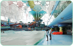 利来囯际·w66(中国)最老牌官方网站